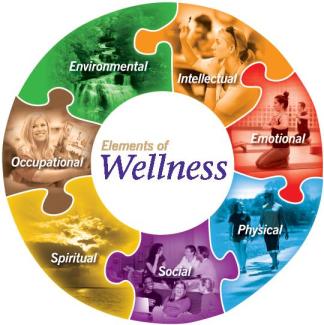 Wellness-Wheel-2013